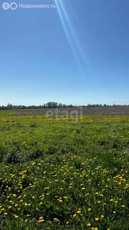 Участок в Стерлитамак, Звёздная улица (8 м) - Фото 1