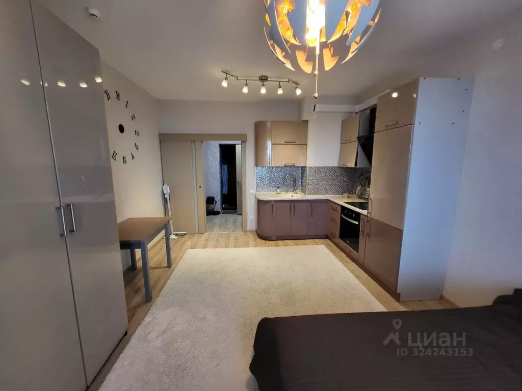 Студия Псковская область, Псковский район, Писковичская волость, д. ... - Фото 1