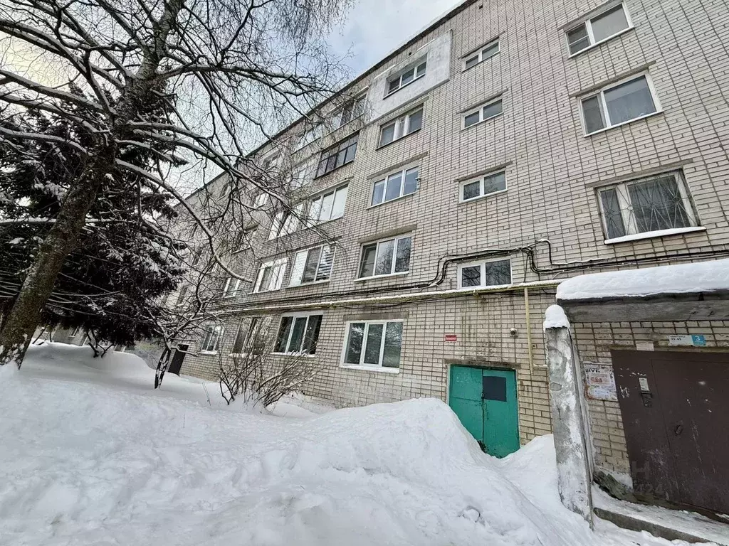 1-к кв. Нижегородская область, Кстово 3-й мкр, 10 (33.5 м) - Фото 1