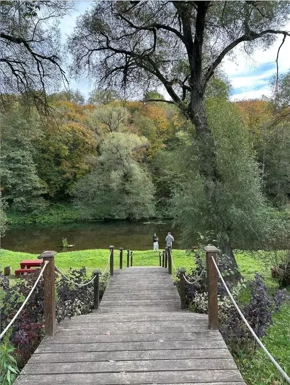 Участок в Московская область, Ступино городской округ, Живописный ... - Фото 1