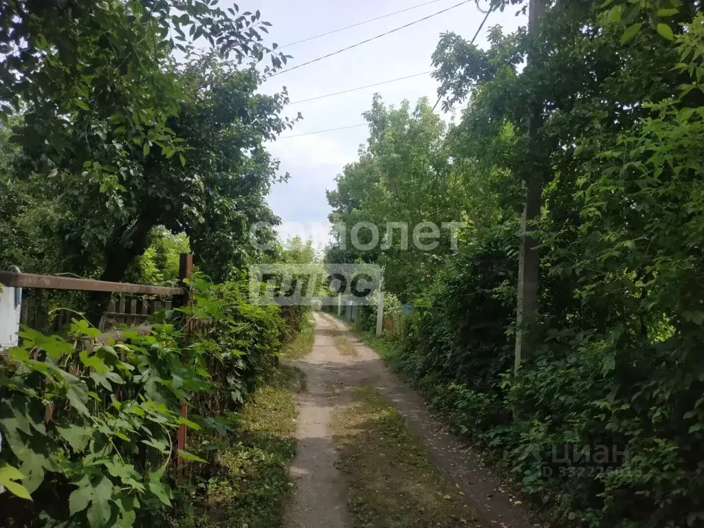 Участок в Липецкая область, Липецк Сокол-2 СНТ, 994 (9.0 сот.) - Фото 1
