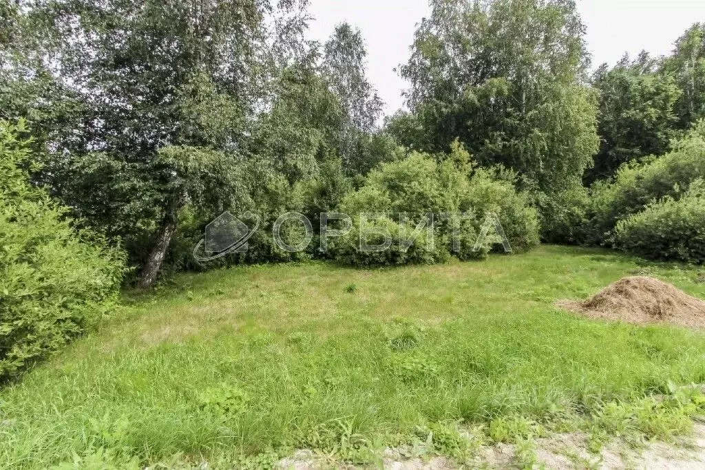 Участок в Тюменская область, Нижнетавдинский муниципальный округ, ... - Фото 2