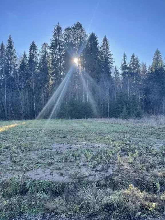 Участок, 7.6 сот., поселения (ижс) - Фото 1