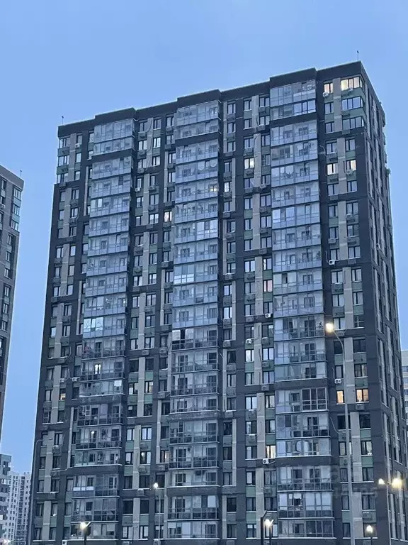 1-к кв. Московская область, Балашиха Железнодорожный мкр, просп. ... - Фото 2