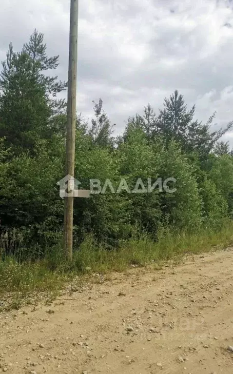 Участок в Коми, Сыктывкар городской округ, Верхняя Максаковка пгт ул. ... - Фото 1