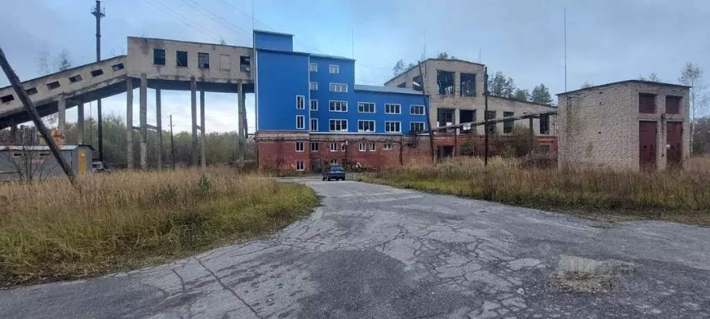 Производственное помещение в Владимирская область, Собинский ... - Фото 1