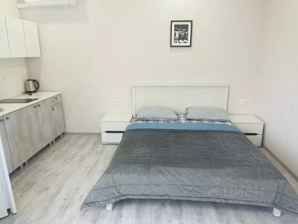 Студия Краснодарский край, Геленджик городской округ, Джанхот хут. ... - Фото 2