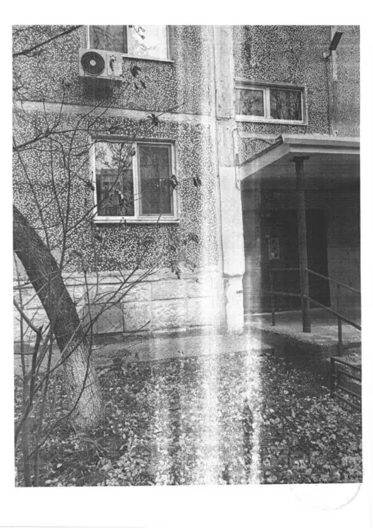 Свободной планировки кв. Тюменская область, Тюмень Олимпийская ул., 49 ... - Фото 1