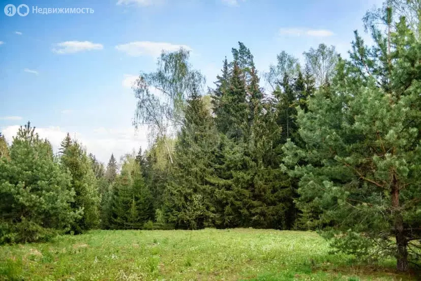 Участок в Московская область, городской округ Лосино-Петровский, ... - Фото 1