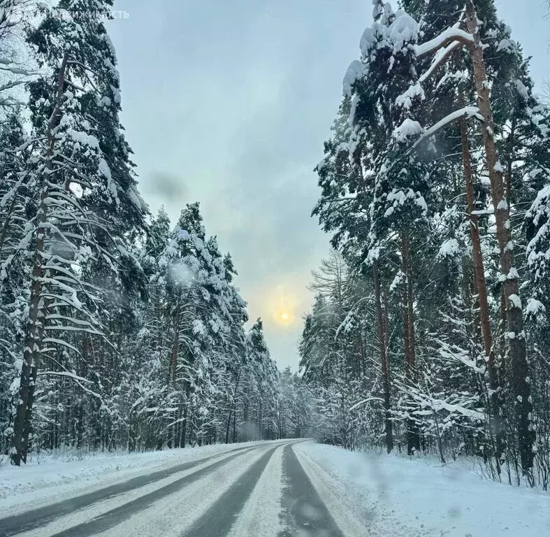 2-комнатная квартира: село Зюзино, 3 (57 м) - Фото 1