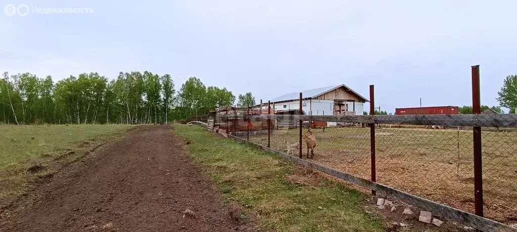 Участок в Искитимский район, село Улыбино (15 м) - Фото 0