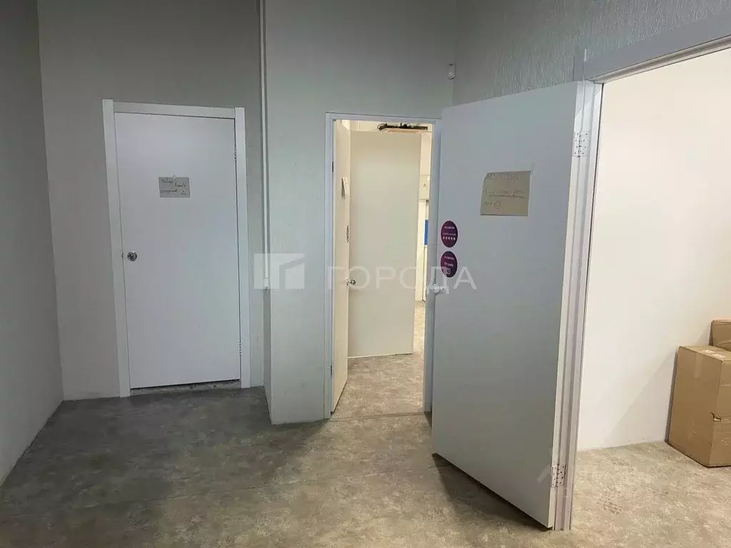 Помещение свободного назначения в Новосибирская область, Новосибирск ... - Фото 1