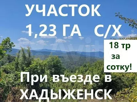 Участок 1,23 га (личное подсобное хозяйство (лпх)) - Фото 1