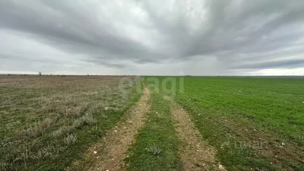 Участок в Крым, Черноморский район, с. Окуневка  (428.73 сот.) - Фото 1