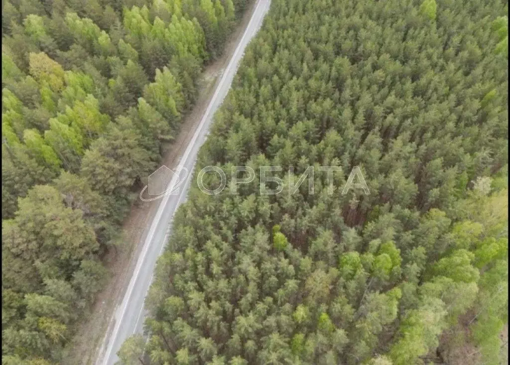 Участок в Тюменская область, Тюменский муниципальный округ, д. Речкина ... - Фото 2