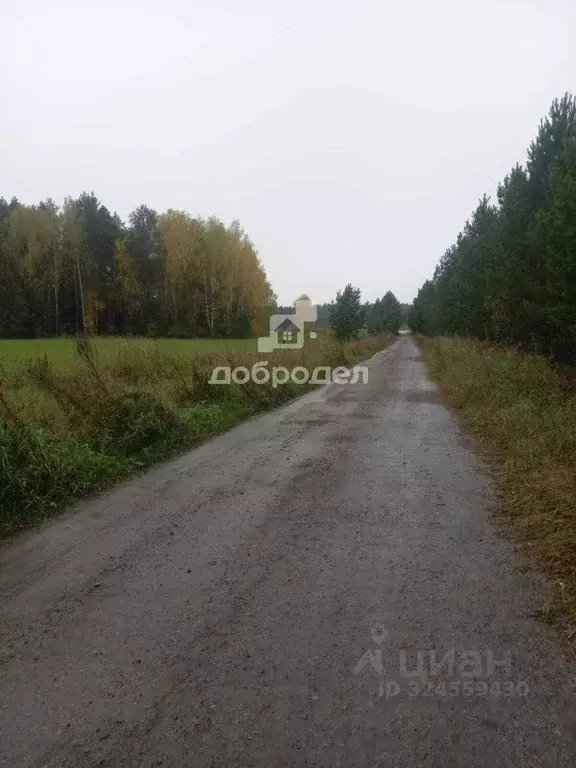 Участок в Свердловская область, Первоуральск муниципальный округ, пос. ... - Фото 1