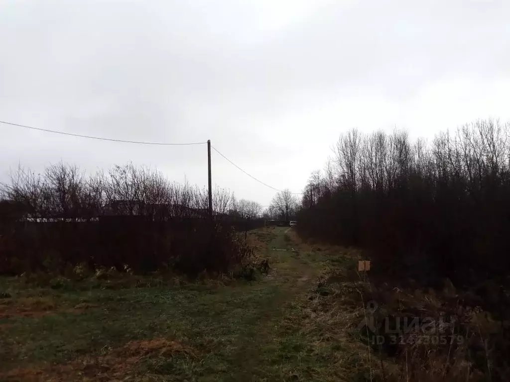 Дом в Новгородская область, Новгородский район, Савинское с/пос, д. ... - Фото 1