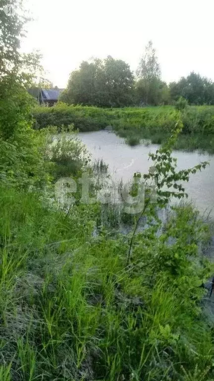 Участок в Костромская область, Судиславское сельское поселение, ... - Фото 0