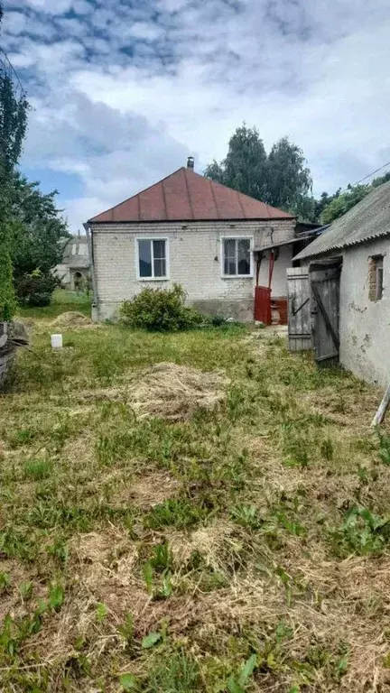 Дом в Воронежская область, Новоусманский район, Рождественско-Хавское ... - Фото 0