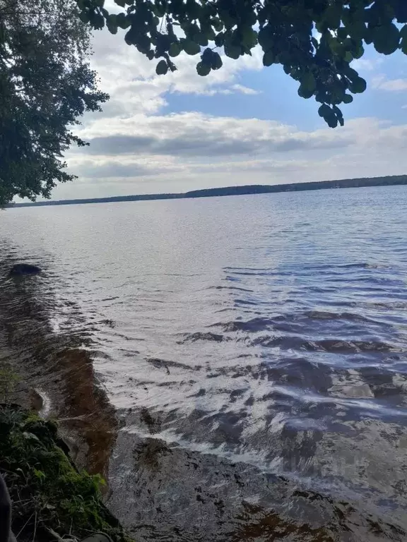 2-к кв. Тверская область, Конаково ул. Гагарина, 7 (45.0 м) - Фото 2