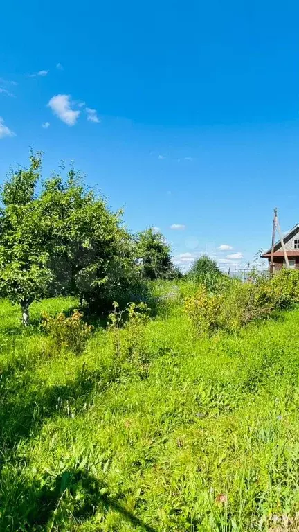 Дом 45,9 м на участке 15 сот. - Фото 1