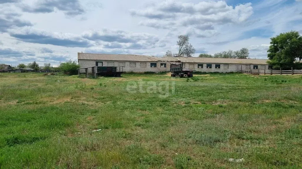 Помещение свободного назначения в Волгоградская область, Даниловка рп, ... - Фото 1