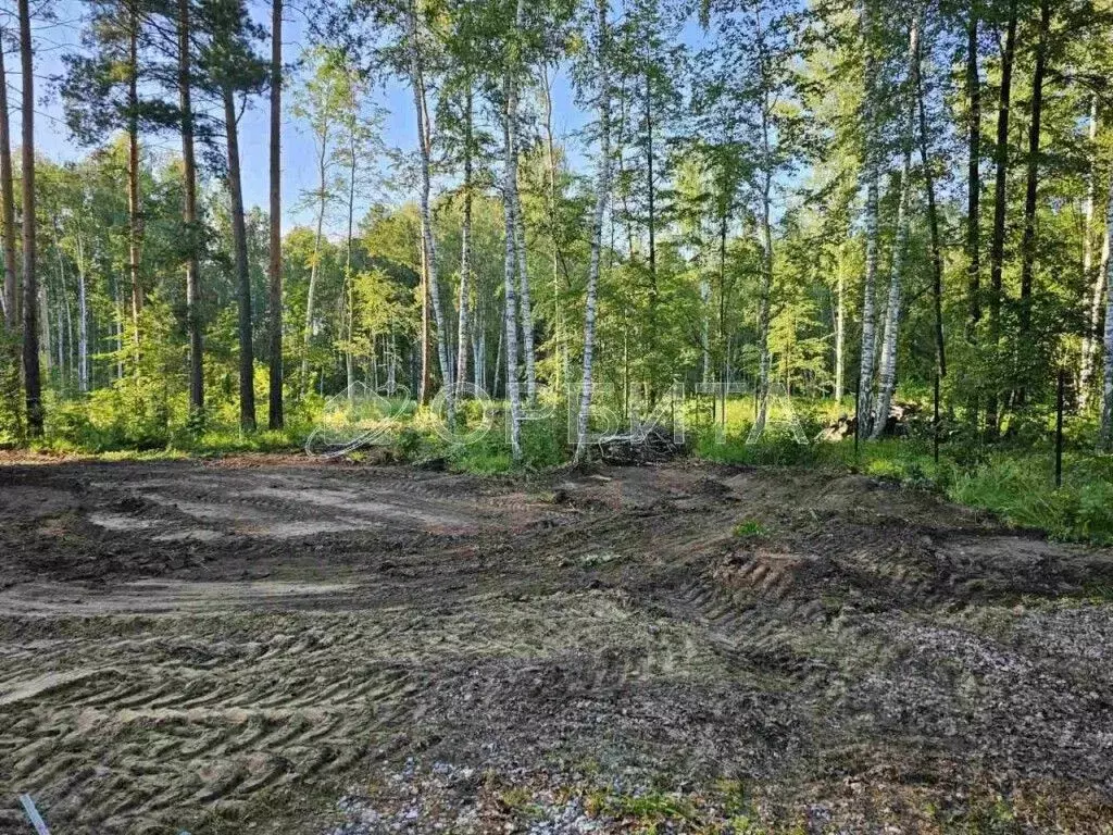 Участок в Тюменская область, Нижнетавдинский район, с. Тюнево, ... - Фото 0