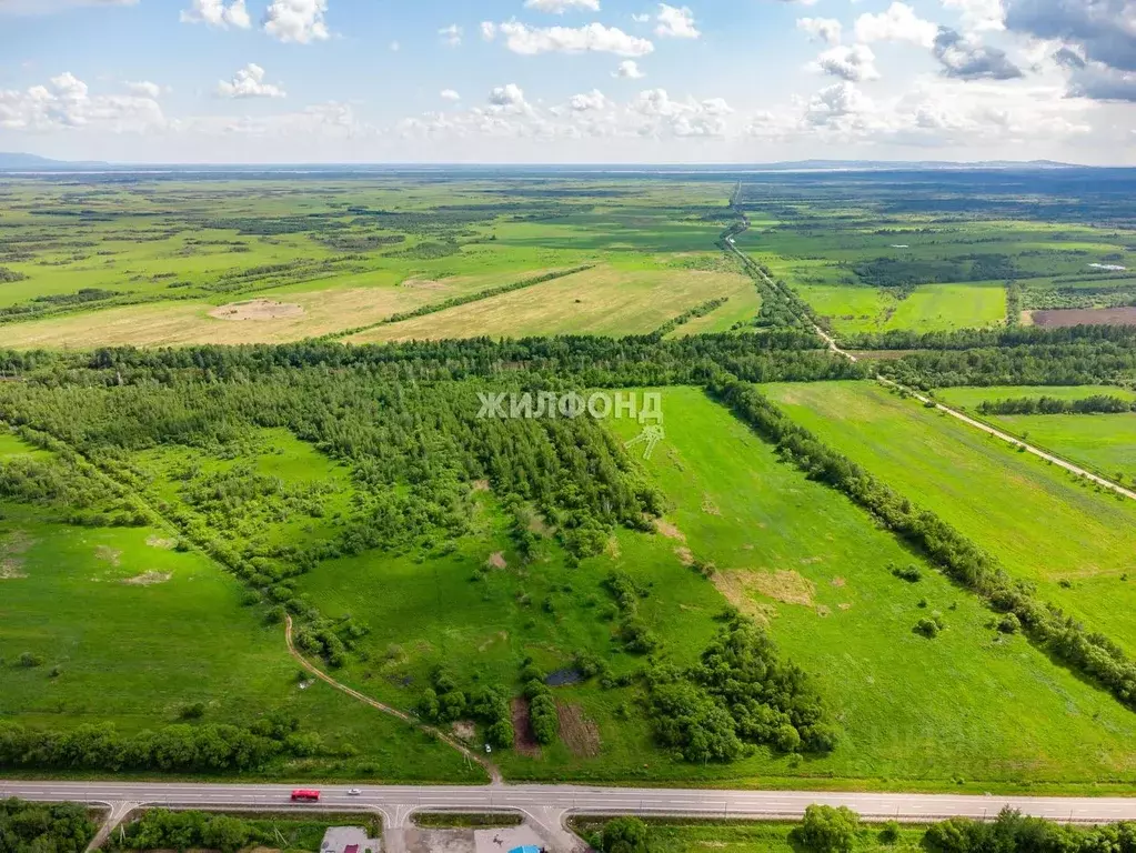 участок в еврейская автономная область, смидовичский район, с. . - Фото 1