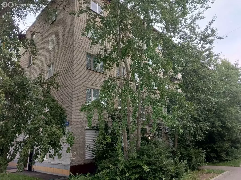 1-комнатная квартира: Ногинск, Самодеятельная улица, 35 (31 м) - Фото 0
