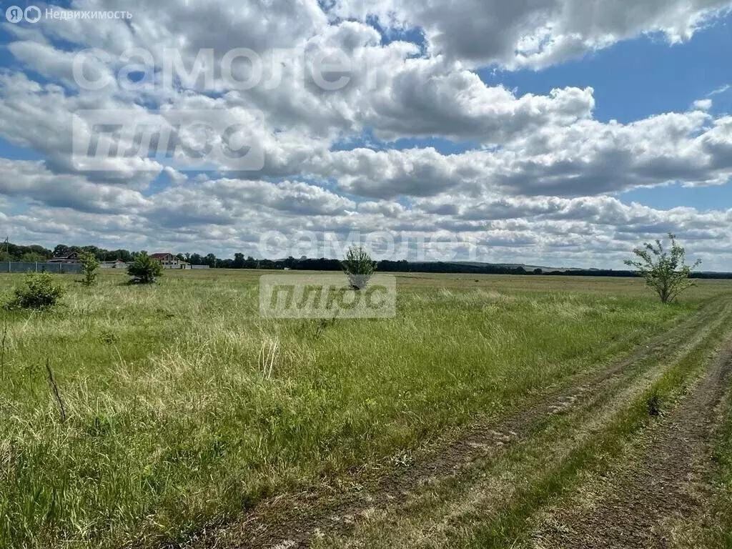 Участок в село Черниговка, Рябиновая улица, 6 (14.56 м) - Фото 1