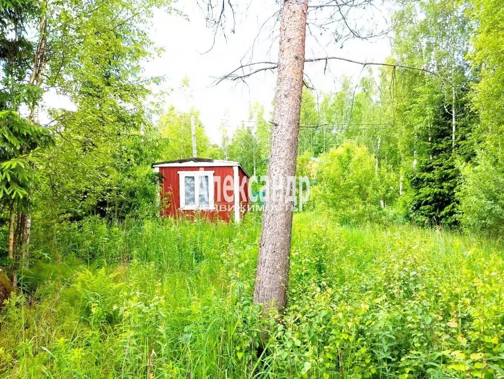 Участок в Санкт-Петербург Дворцовая пл., 2 (10.0 сот.) - Фото 0