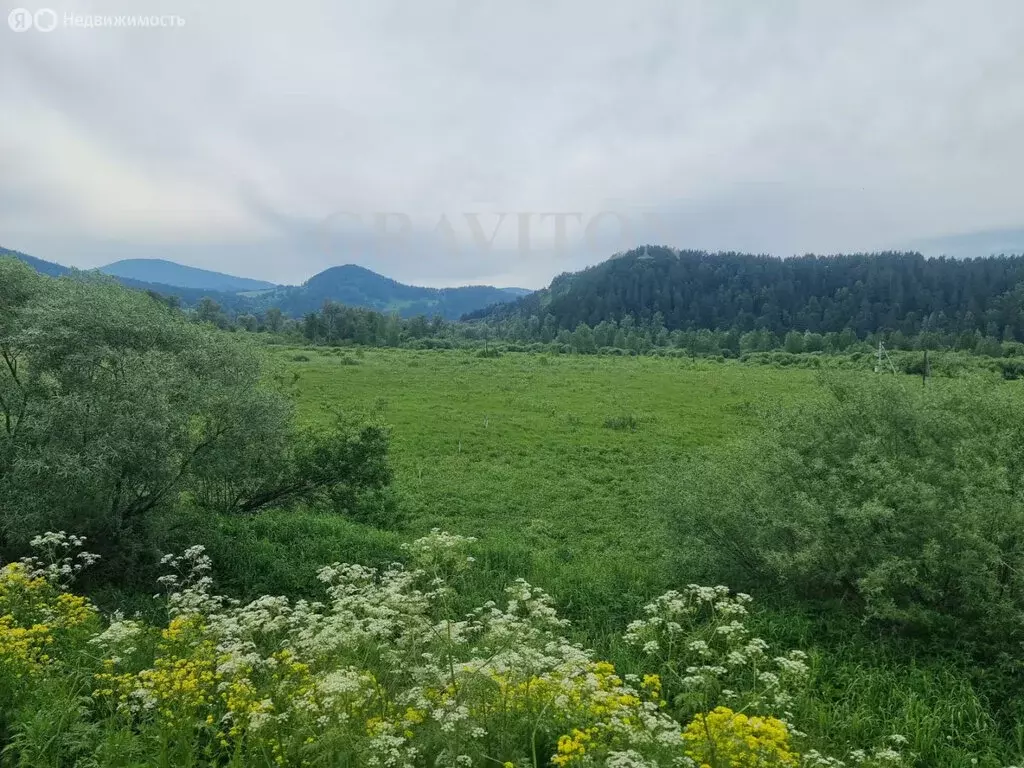 Участок в село Кызыл-Озек, Малиновая улица, 53 (10 м) - Фото 0