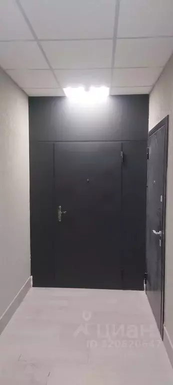 1-к кв. Воронежская область, Воронеж ул. Революции 1905 года, 31Ю ... - Фото 2