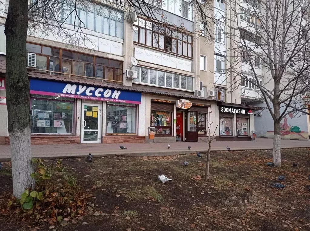 Помещение свободного назначения в Белгородская область, Белгород ... - Фото 0