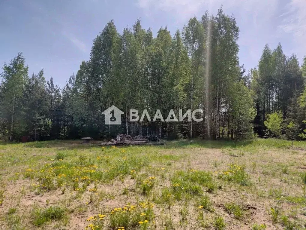 Участок в Владимирская область, Владимир Пиганово мкр,  (10.24 сот.) - Фото 1