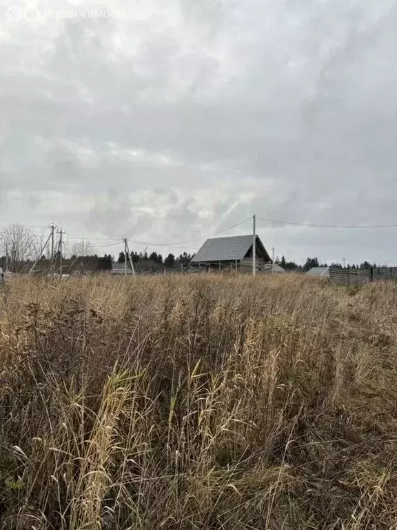 Участок в Кипенское сельское поселение, ДНП Глуховское раздолье, ... - Фото 1