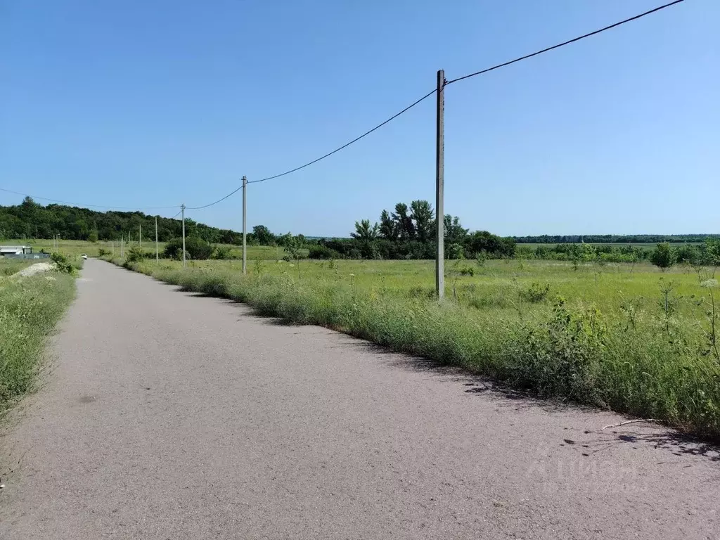 Участок в Липецкая область, Хлевенский район, Конь-Колодезский ... - Фото 1