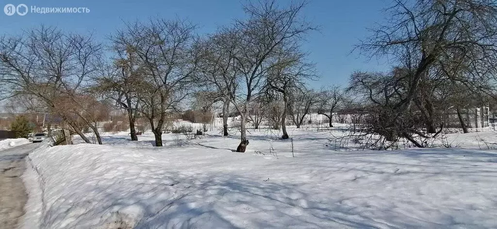 Участок в Московская область, городской округ Серпухов, деревня ... - Фото 2