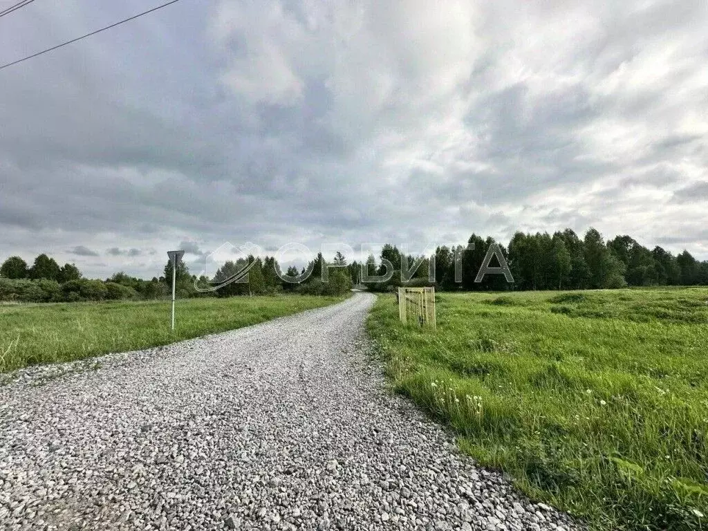 Участок в Тюменская область, Нижнетавдинский муниципальный округ, д. ... - Фото 2