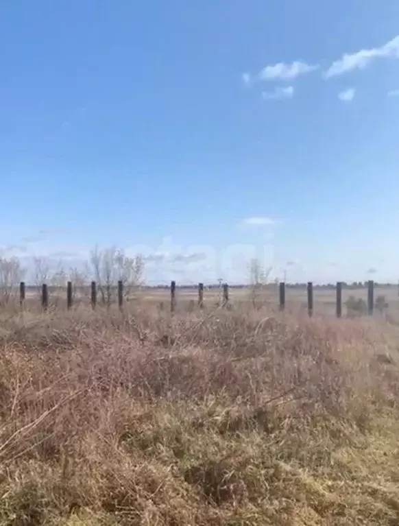 Участок в Амурская область, Свободненский район, пос. Подгорный ... - Фото 1