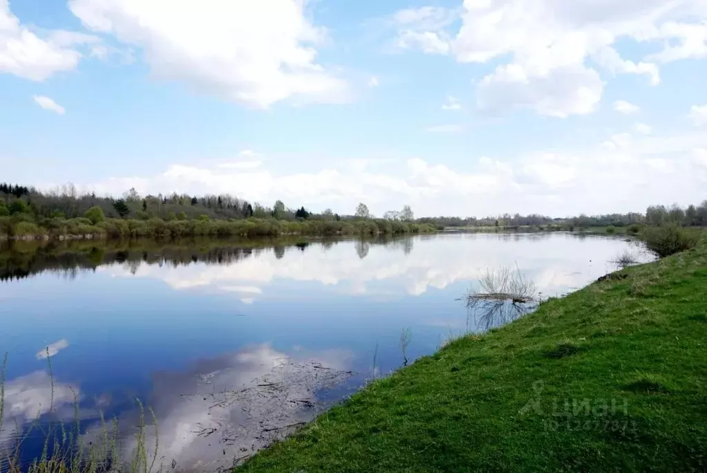 Участок в Псковская область, Островский район, Горайская волость, д. ... - Фото 0