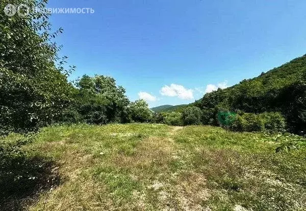 Участок в Краснодарский край, городской округ Геленджик, село ... - Фото 2
