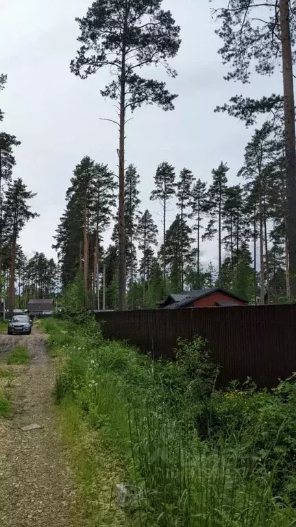 Участок в Ленинградская область, Гатчинский район, Вырица городской ... - Фото 0