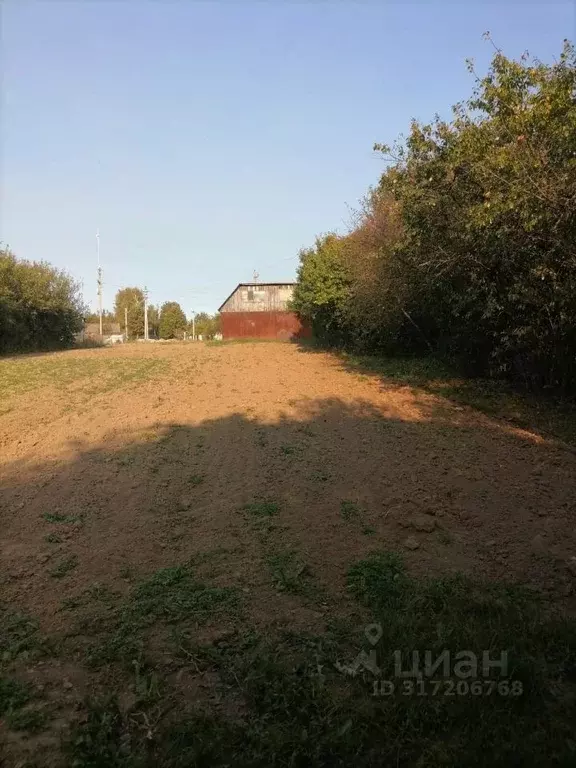 Участок в Владимирская область, Суздальский район, Новоалександровское ... - Фото 0