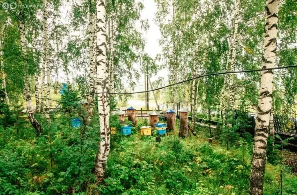 Участок в посёлок городского типа Шерегеш, Весенняя улица (7.2 м) - Фото 1