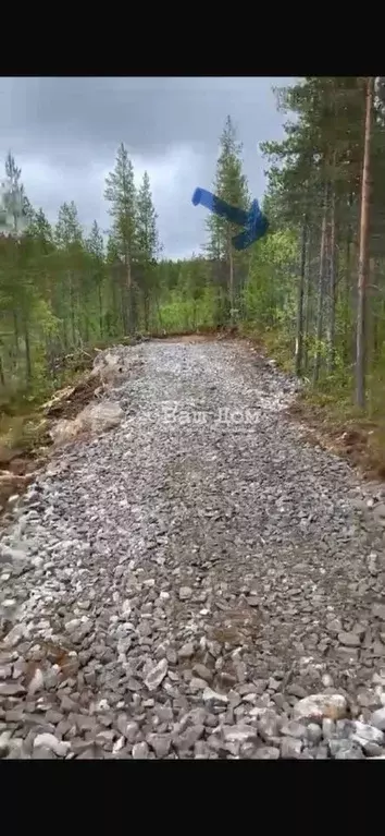 Участок в Мурманская область, Кольский район, Пушной с/пос, с. ... - Фото 1