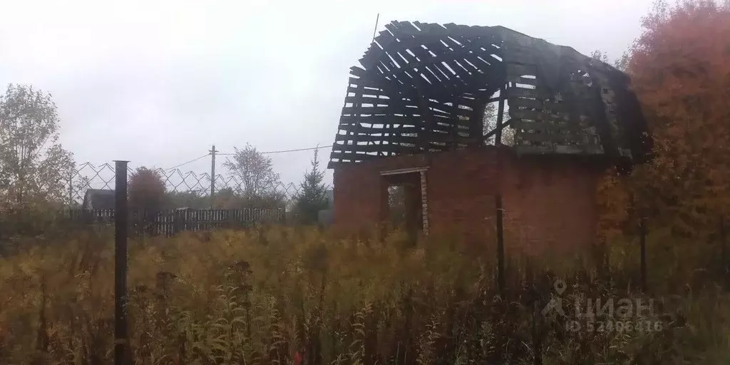 Участок в Владимирская область, Александровский район, Каринское ... - Фото 0