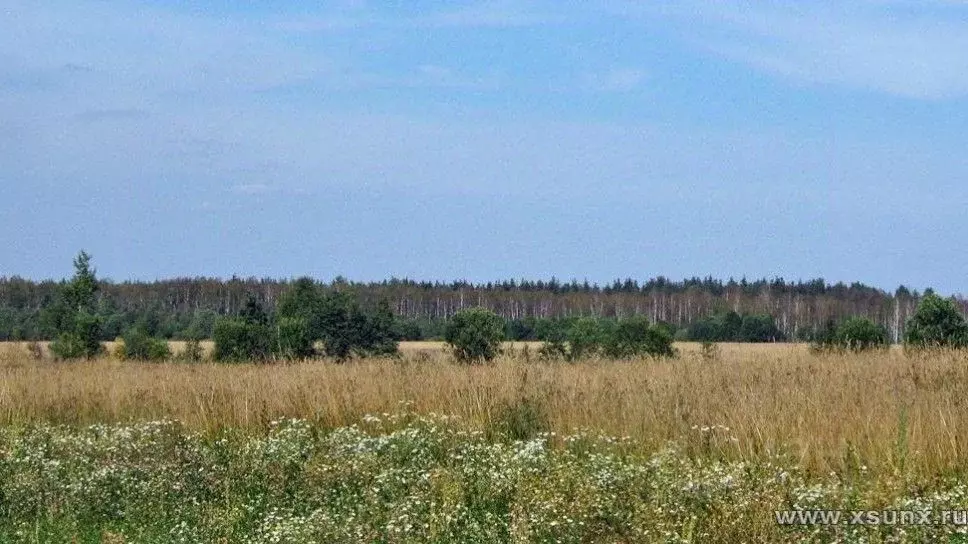 Участок в Московская область, Мытищи городской округ, д. Степаньково, ... - Фото 1