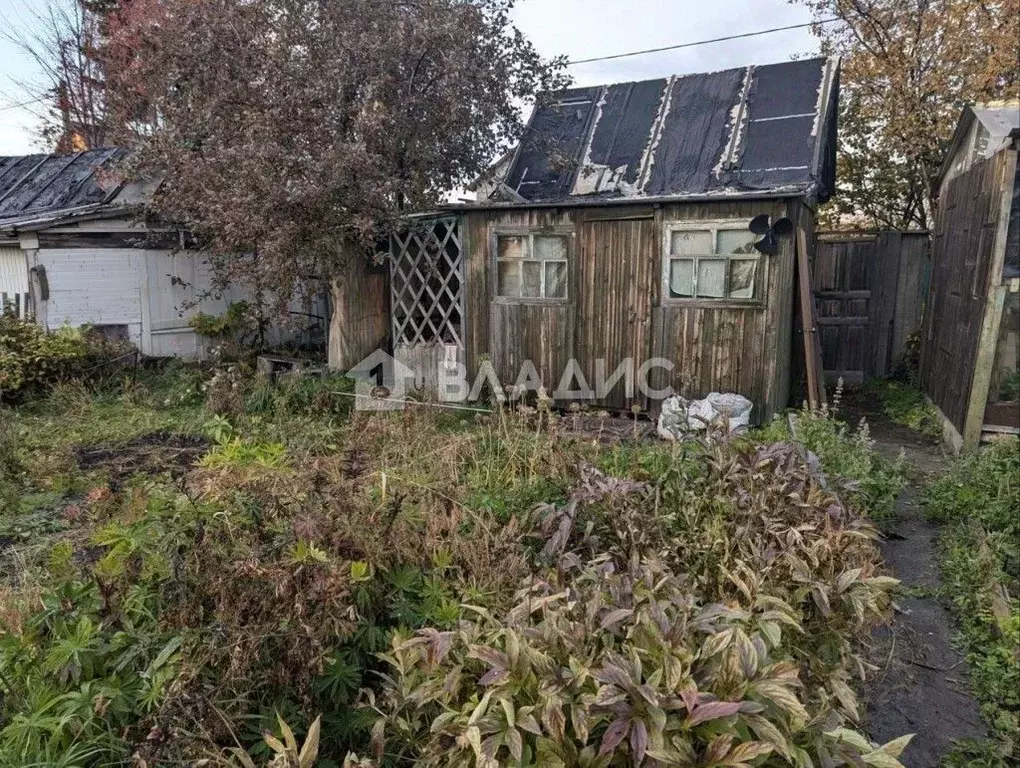 Участок в Новосибирская область, Новосибирск Новый Мир садовое ... - Фото 1