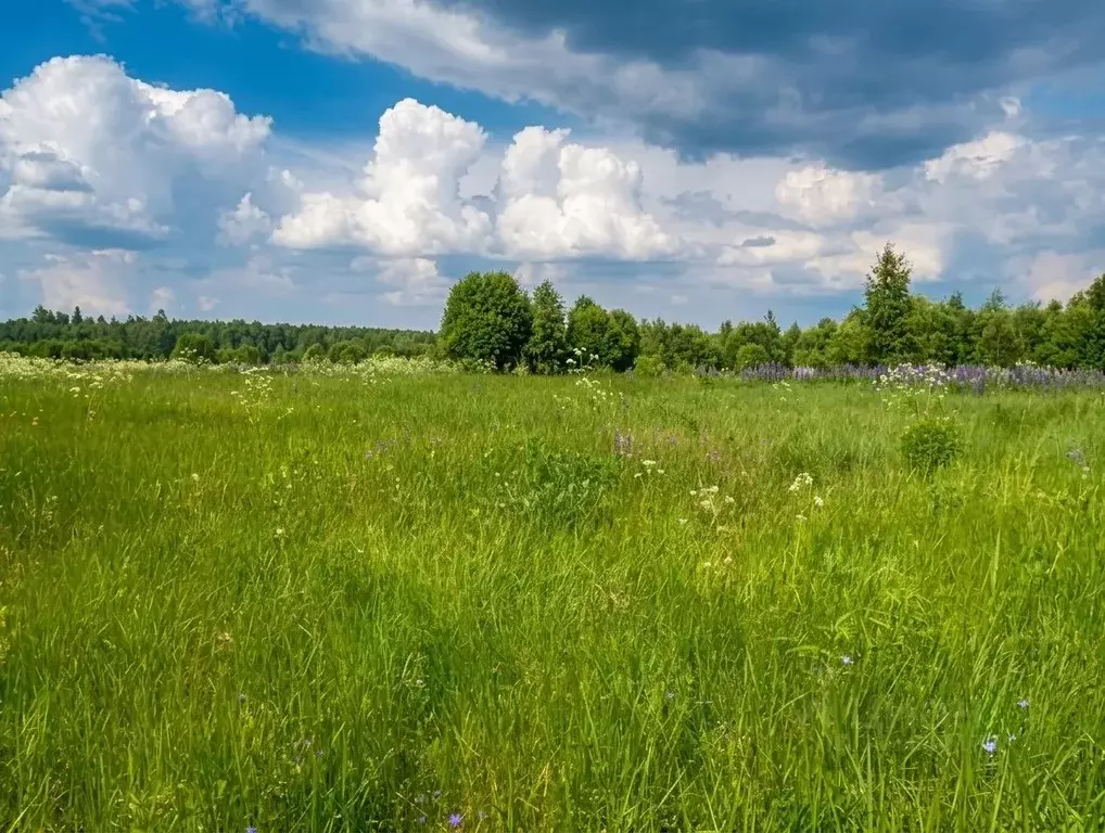 Участок в Владимирская область, Киржачский муниципальный округ, д. ... - Фото 2
